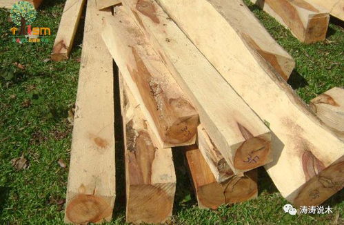 中國木材商采購熱潮加劇越南木材業(yè)成本壓力