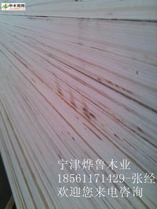 中木商網 一站式木材產品與資訊服務平臺