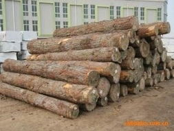 泰和縣方圓木業原木產品列表 精選優質木材，打造自然之美