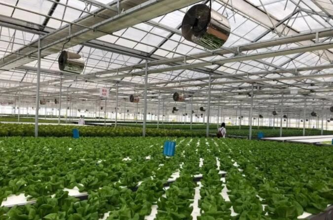 技術賦能與模式創新 正大慈溪現代農業園區的中國式農業園區實踐與啟示