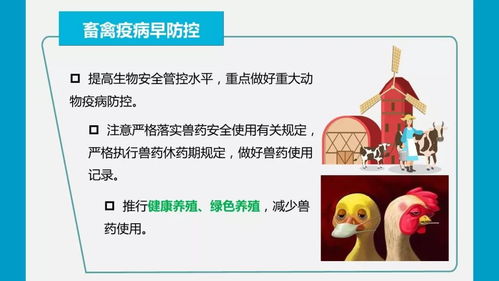 疫情防控期間強化農(nóng)產(chǎn)品質量安全監(jiān)管，嚴防禁用獸藥等風險隱患